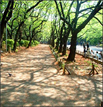 Ueno Park Tokyo